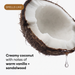 Halved coconut with white flesh and brown shell, liquid droplet hanging below.