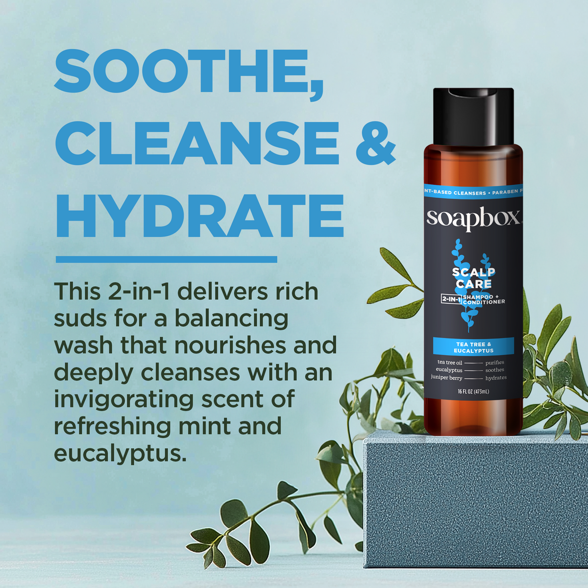 Soapbox scalp care 2-in-1 shampoo and conditioner bottle with black cap on gray cube surrounded by eucalyptus sprigs.