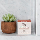 Coconut Oil Moisture & Nourish Shampoo Bar box next to succulent plant in wooden pot.